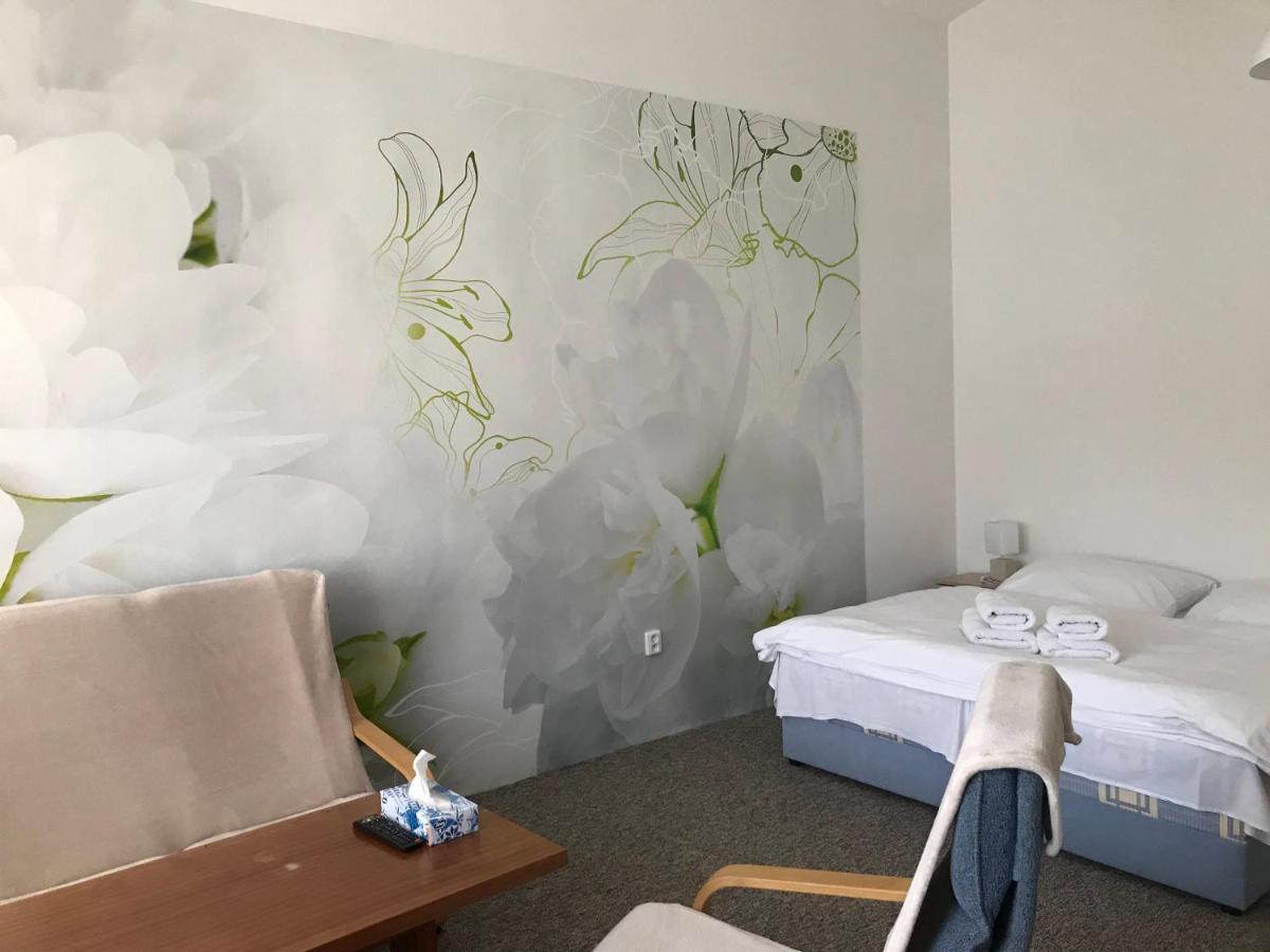 Apartman Na Namesti Apartment Opocno Bagian luar foto